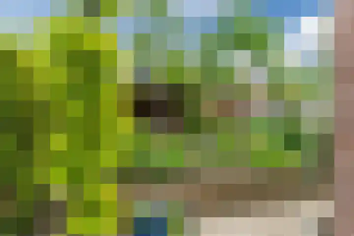 Boomkamp 17 Geldermalsen thumbnail 64