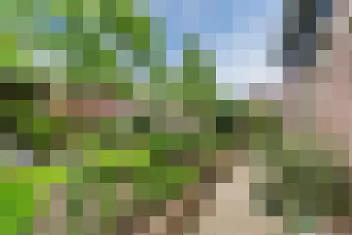 Boomkamp 17 Geldermalsen thumbnail 65