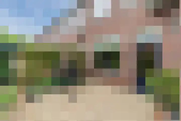 Boomkamp 17 Geldermalsen thumbnail 66