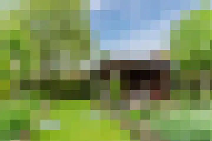 Boomkamp 17 Geldermalsen thumbnail 68