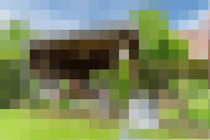 Boomkamp 17 Geldermalsen thumbnail 69
