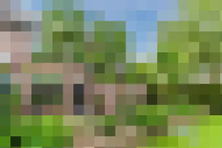 Boomkamp 17 Geldermalsen thumbnail 70