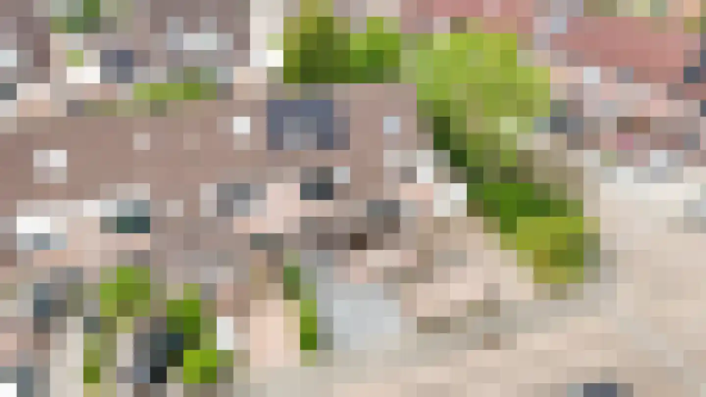 Boomkamp 4 Geldermalsen thumbnail 37