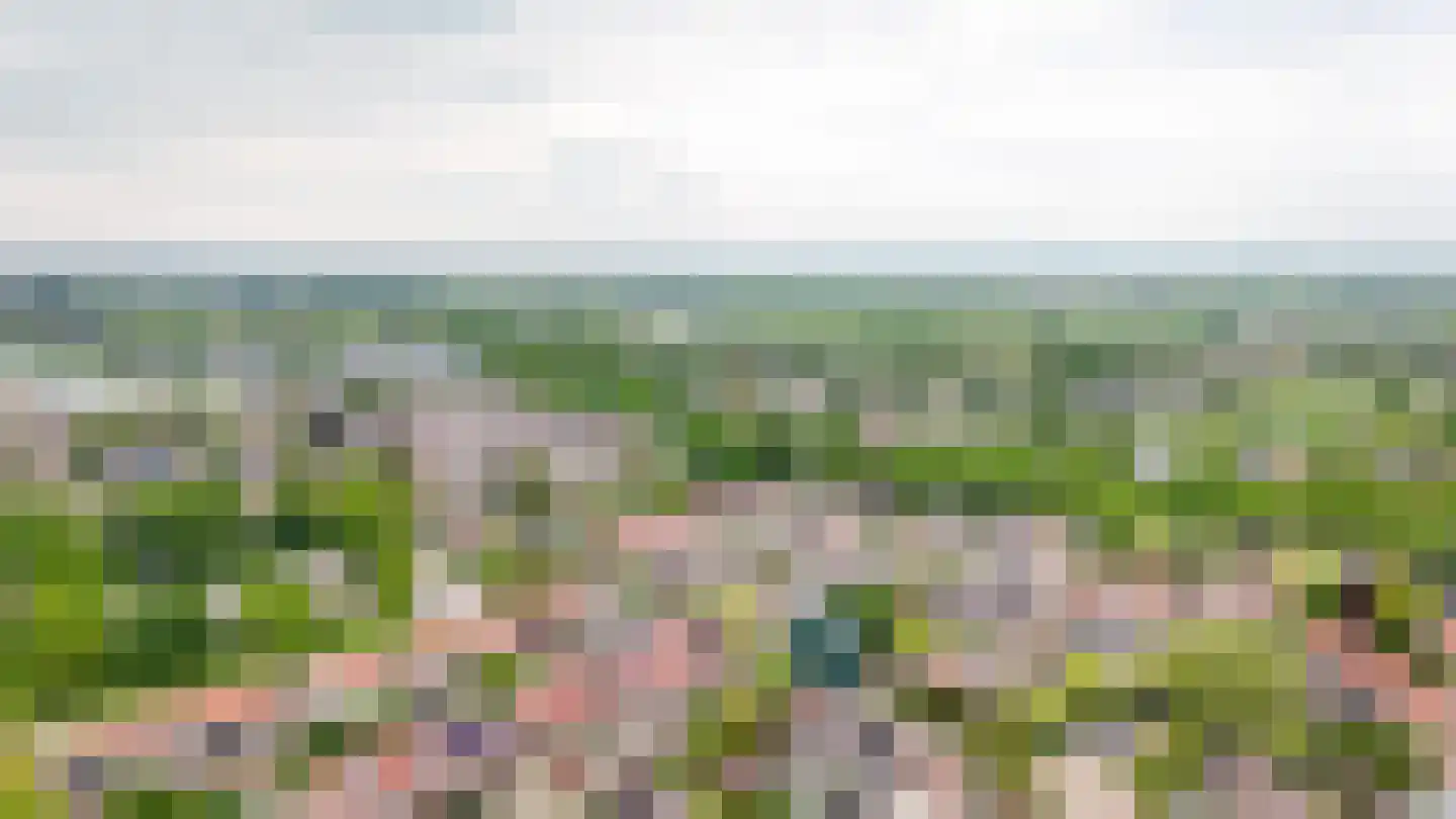 Boomkamp 4 Geldermalsen thumbnail 38