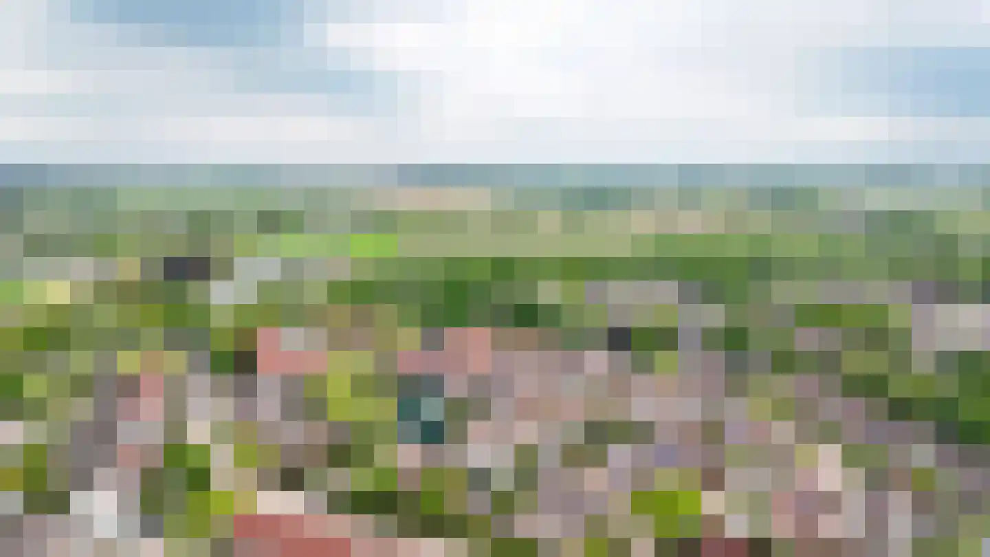 Boomkamp 4 Geldermalsen thumbnail 39