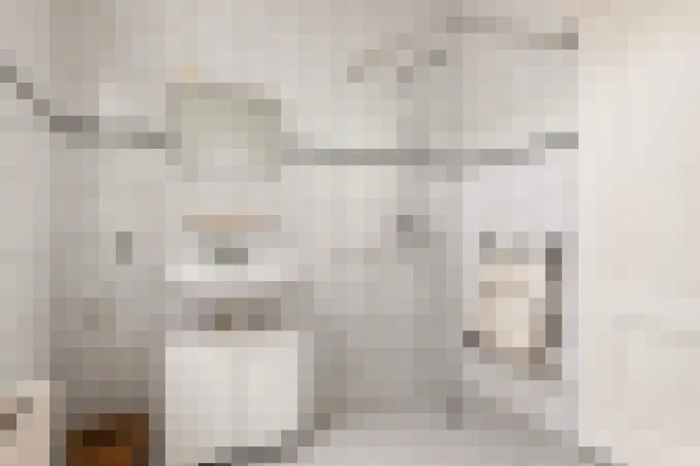 Boomkampstraat 1 Aalten thumbnail 18