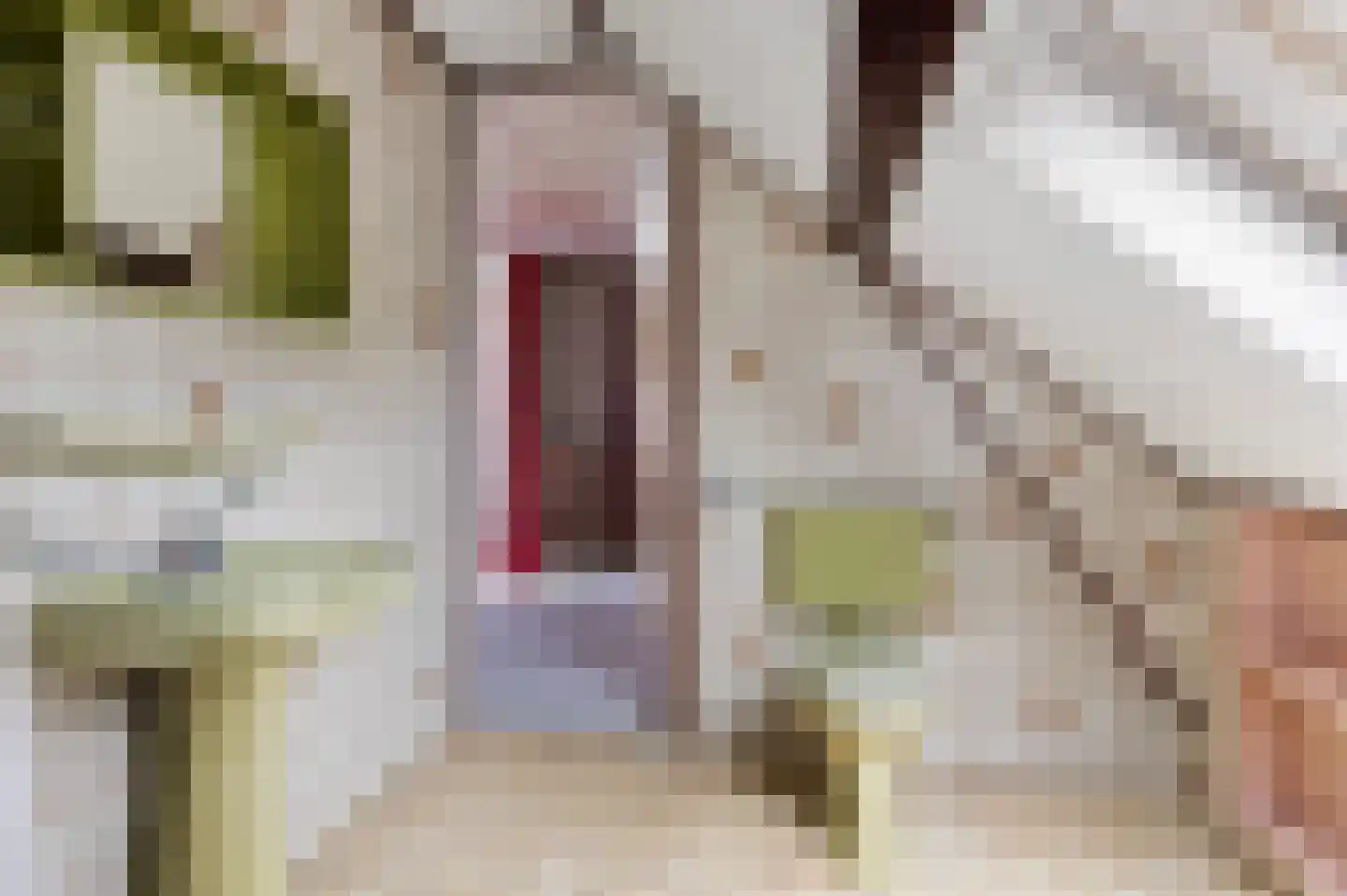 Boomkampstraat 1 Aalten thumbnail 26