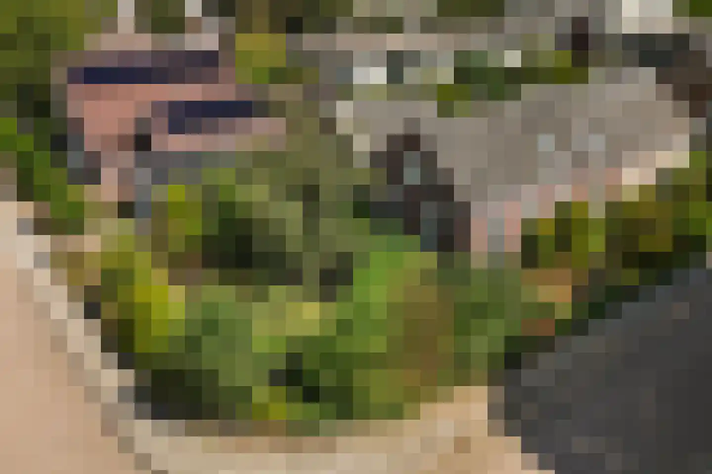 Boomkampstraat 1 Aalten thumbnail 31