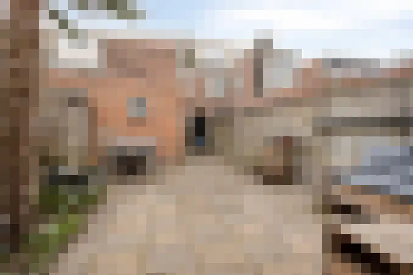 Boomkampstraat 5 Tilburg thumbnail 36