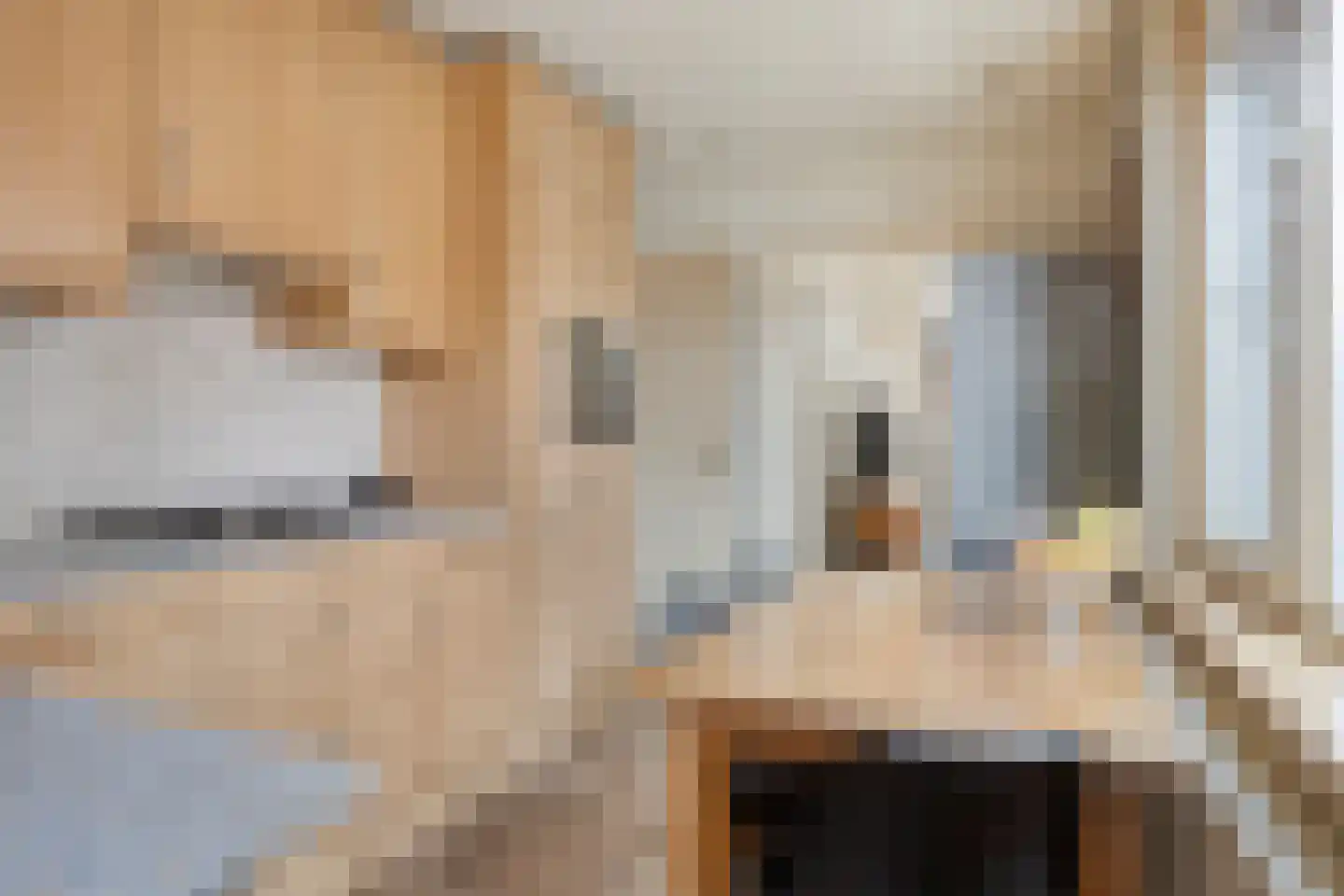 Boomkampstraat 5 Tilburg thumbnail 5
