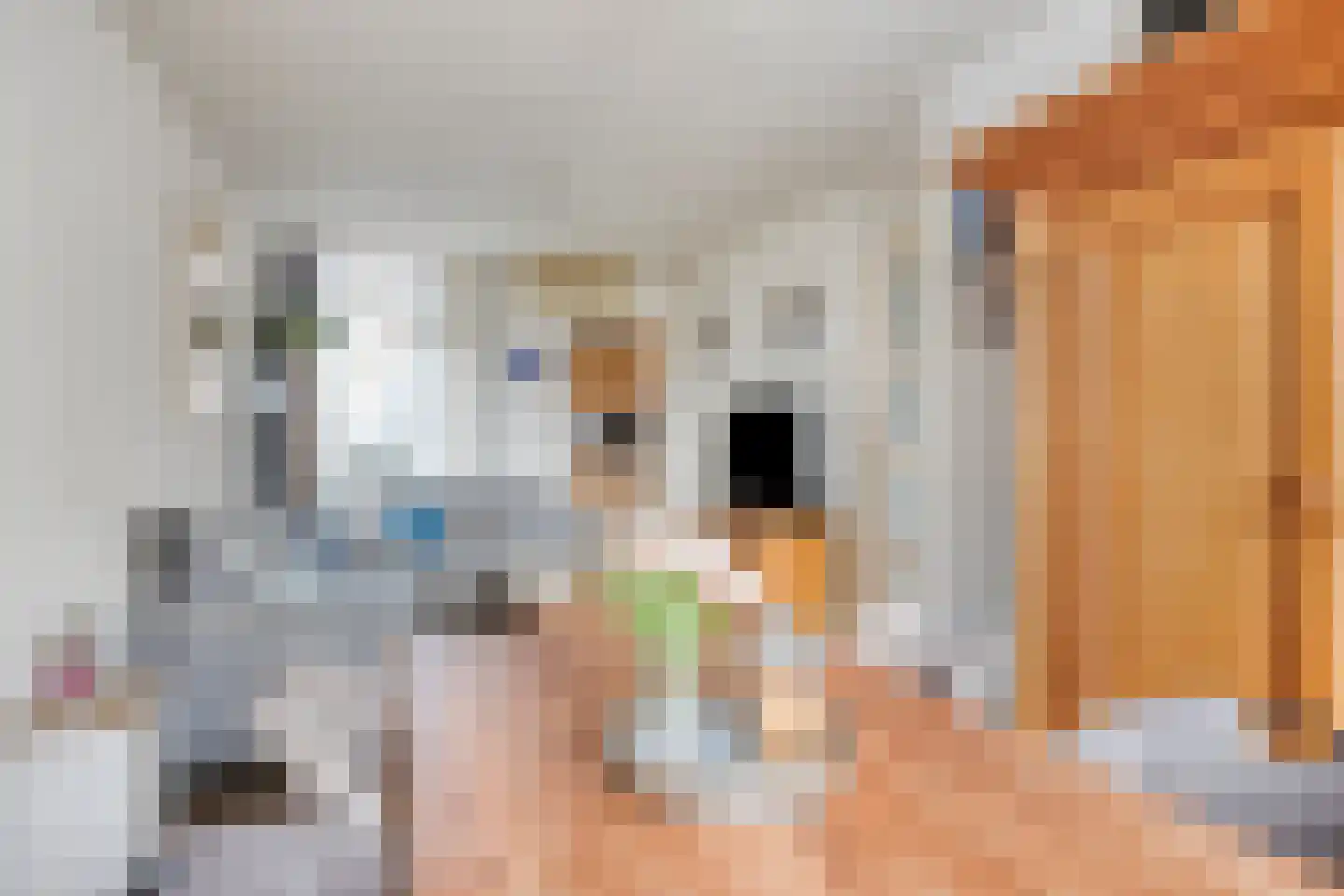 Boomkampstraat 5 Tilburg thumbnail 9