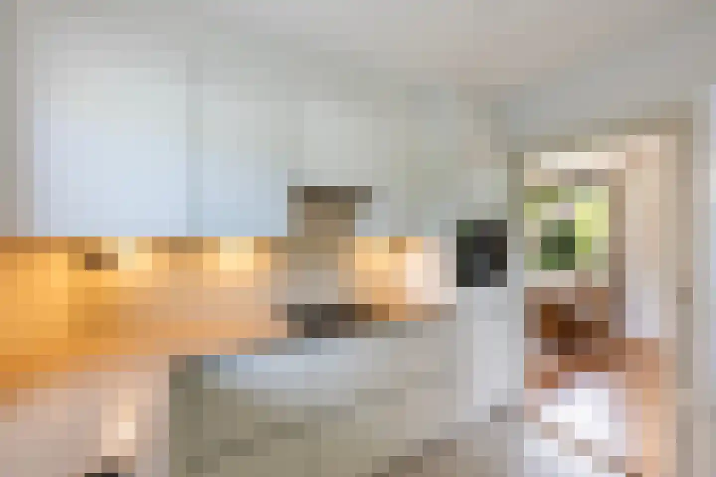 Boomkensdiep 2 Zwolle thumbnail 17