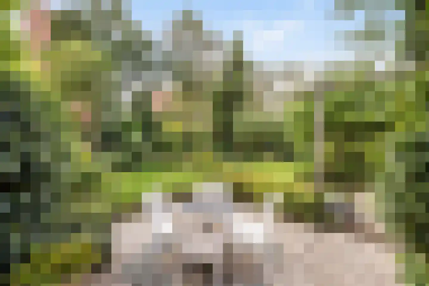 Boomkensdiep 2 Zwolle thumbnail 35