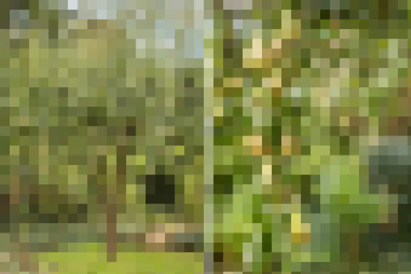 Boomkensdiep 2 Zwolle thumbnail 37