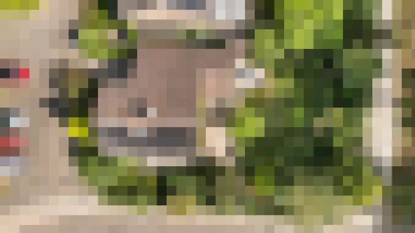 Boomkensdiep 2 Zwolle thumbnail 39