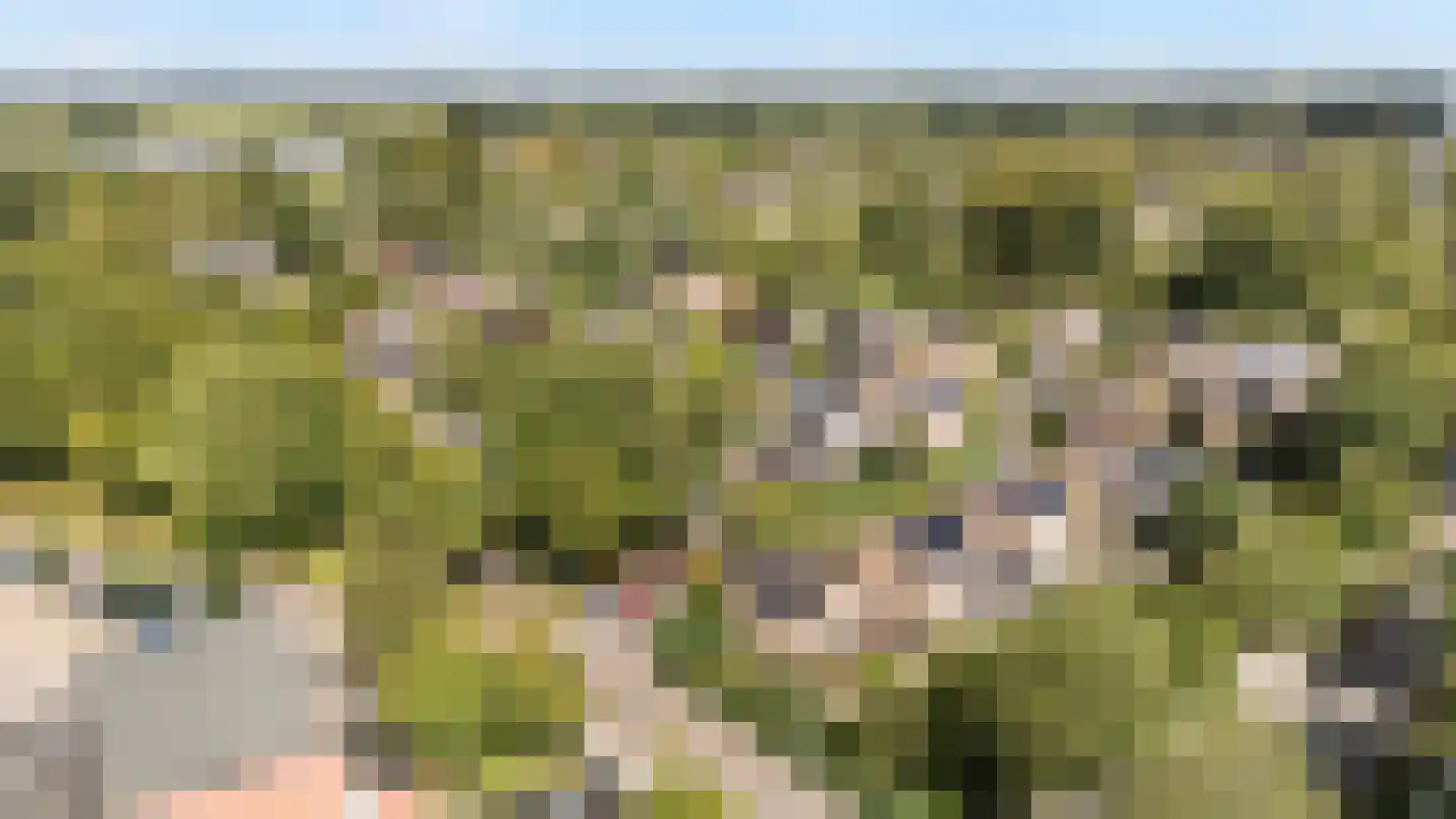 Boomkensdiep 2 Zwolle thumbnail 40