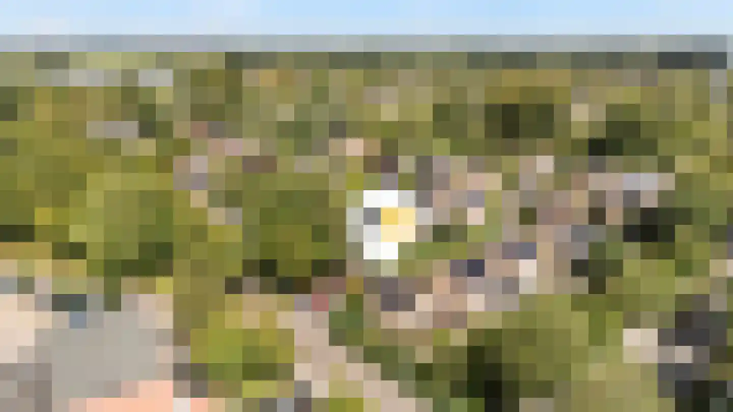 Boomkensdiep 2 Zwolle thumbnail 5