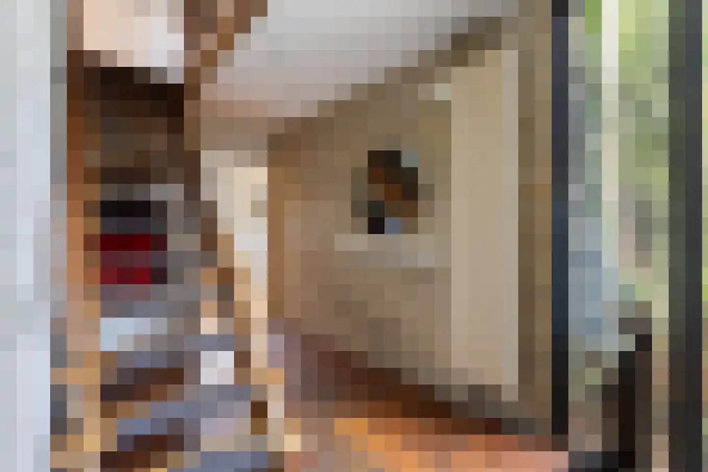 Boomkensdiep 2 Zwolle thumbnail 7