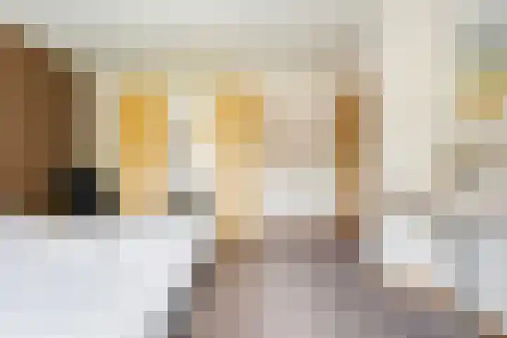 Boomkensdiep 22 Zwolle thumbnail 14