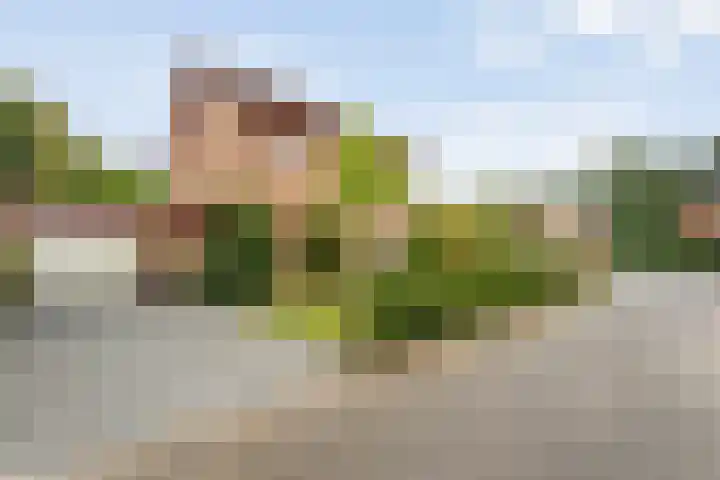 Boomkensdiep 22 Zwolle thumbnail 29
