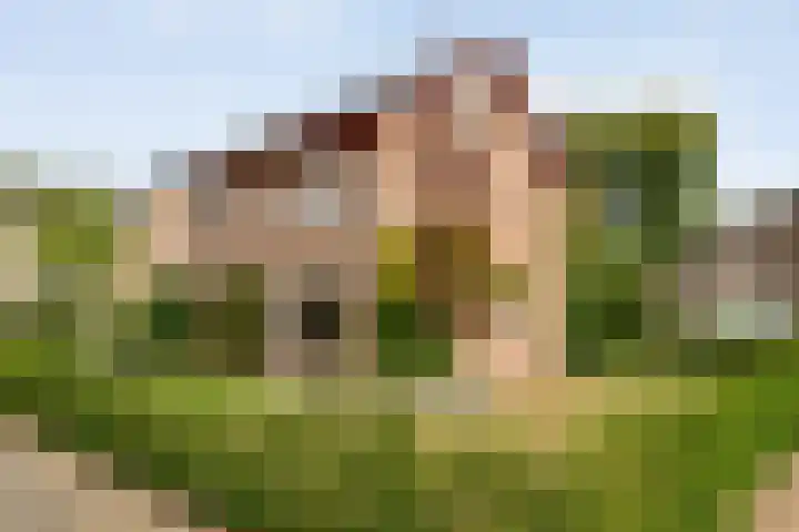 Boomkensdiep 22 Zwolle thumbnail 30