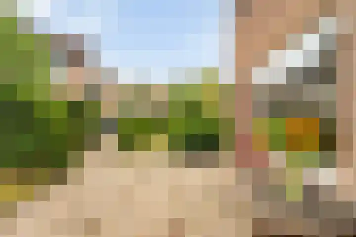 Boomkensdiep 22 Zwolle thumbnail 32