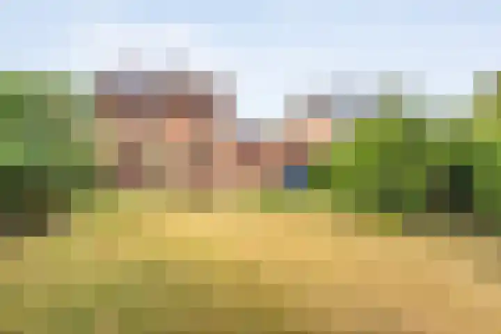 Boomkensdiep 22 Zwolle thumbnail 35