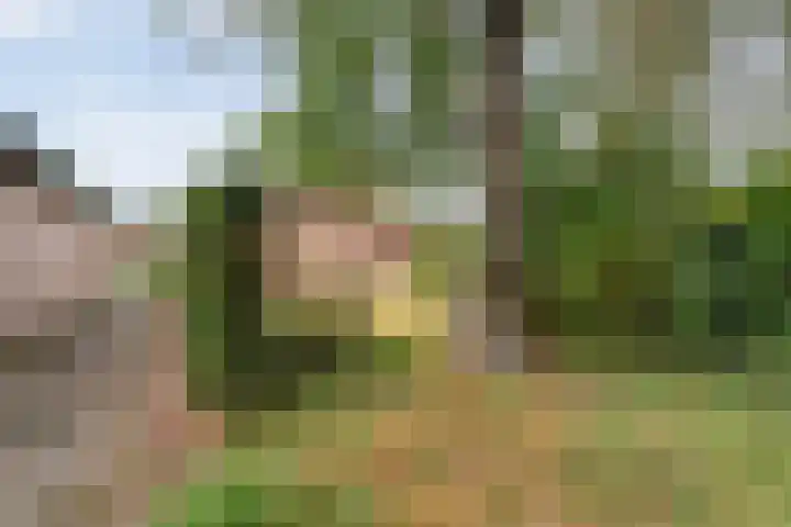 Boomkensdiep 22 Zwolle thumbnail 36