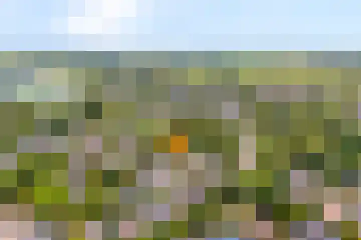 Boomkensdiep 22 Zwolle thumbnail 37