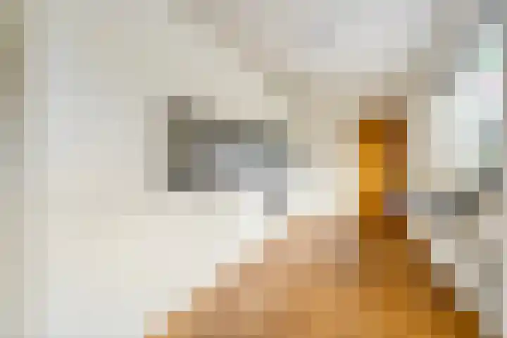 Boomkensdiep 22 Zwolle thumbnail 4