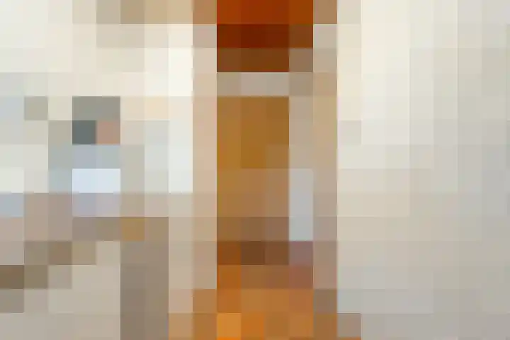 Boomkensdiep 22 Zwolle thumbnail 6