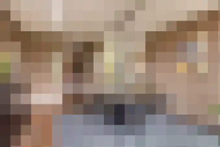 Boomkensdiep 23 Zwolle thumbnail 11