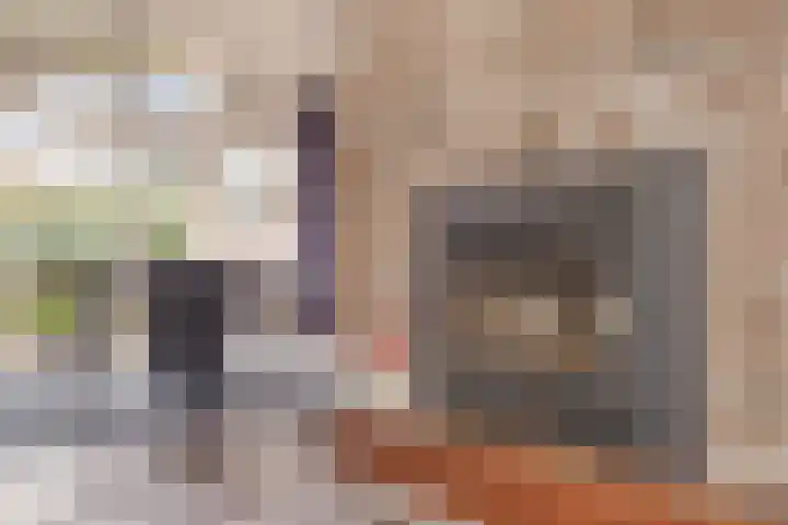 Boomkensdiep 23 Zwolle thumbnail 14