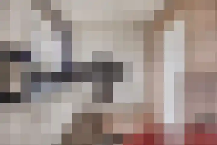 Boomkensdiep 23 Zwolle thumbnail 17