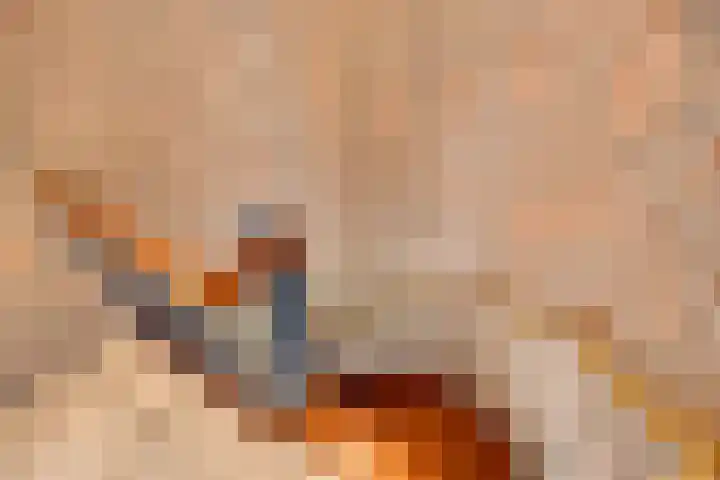 Boomkensdiep 23 Zwolle thumbnail 20