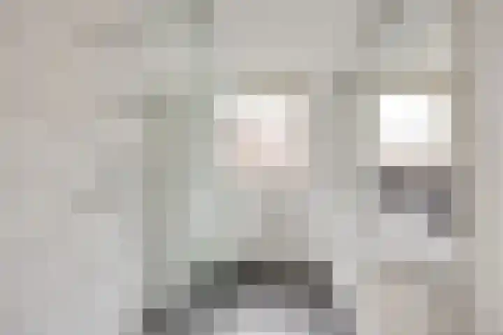 Boomkensdiep 23 Zwolle thumbnail 24