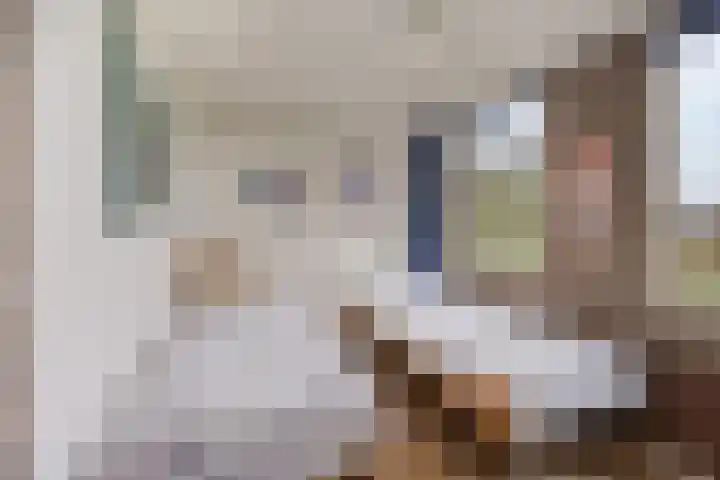Boomkensdiep 23 Zwolle thumbnail 29