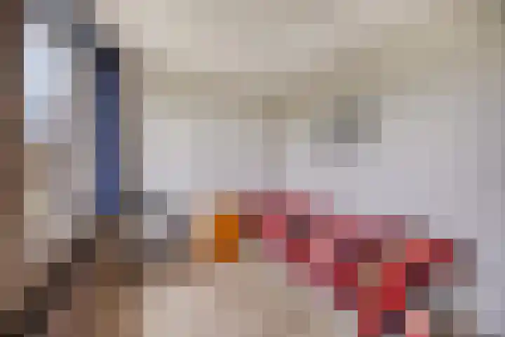 Boomkensdiep 23 Zwolle thumbnail 31