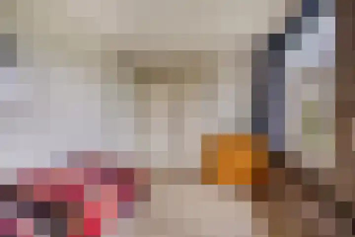 Boomkensdiep 23 Zwolle thumbnail 32