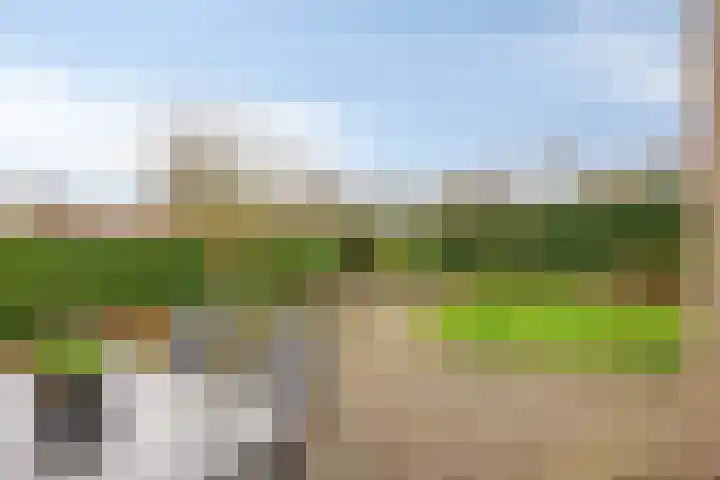 Boomkensdiep 23 Zwolle thumbnail 35