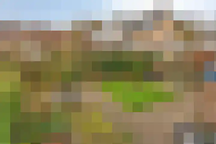 Boomkensdiep 23 Zwolle thumbnail 36