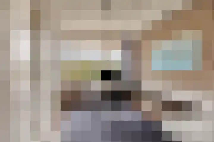 Boomkensdiep 23 Zwolle thumbnail 8