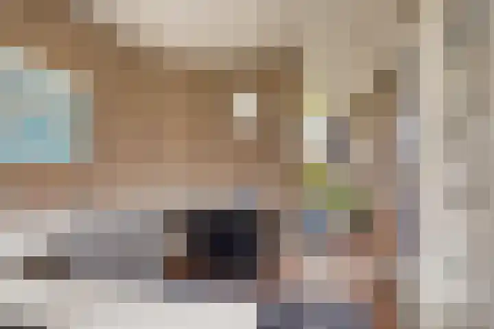 Boomkensdiep 23 Zwolle thumbnail 9