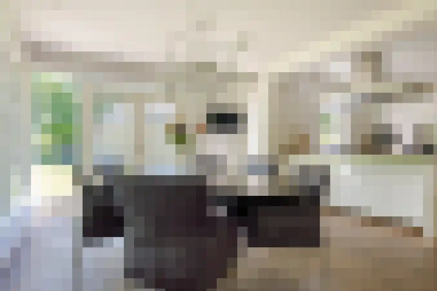 Boomkensdiep 38 Zwolle thumbnail 4