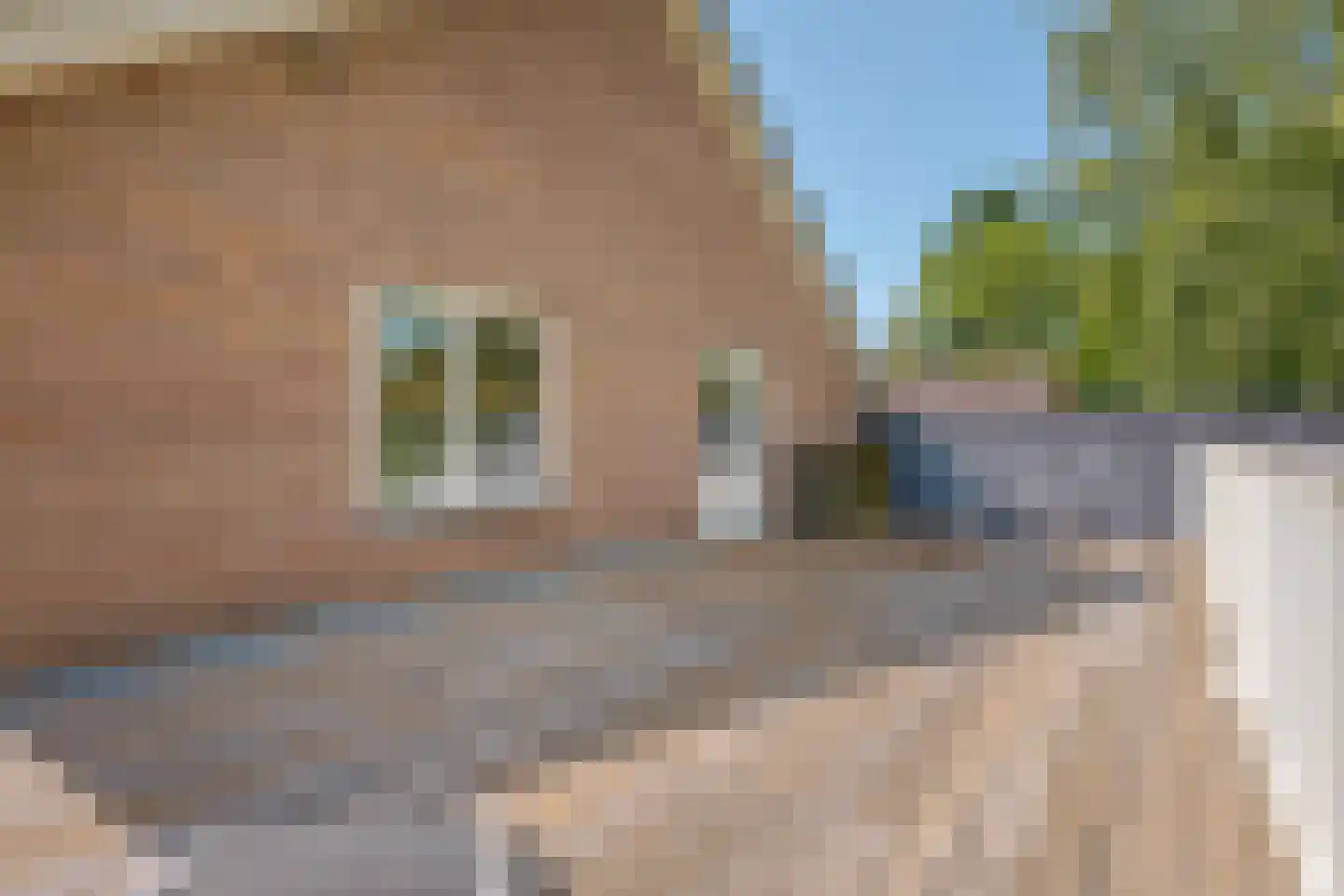 Boomkensdiep 38 Zwolle thumbnail 45