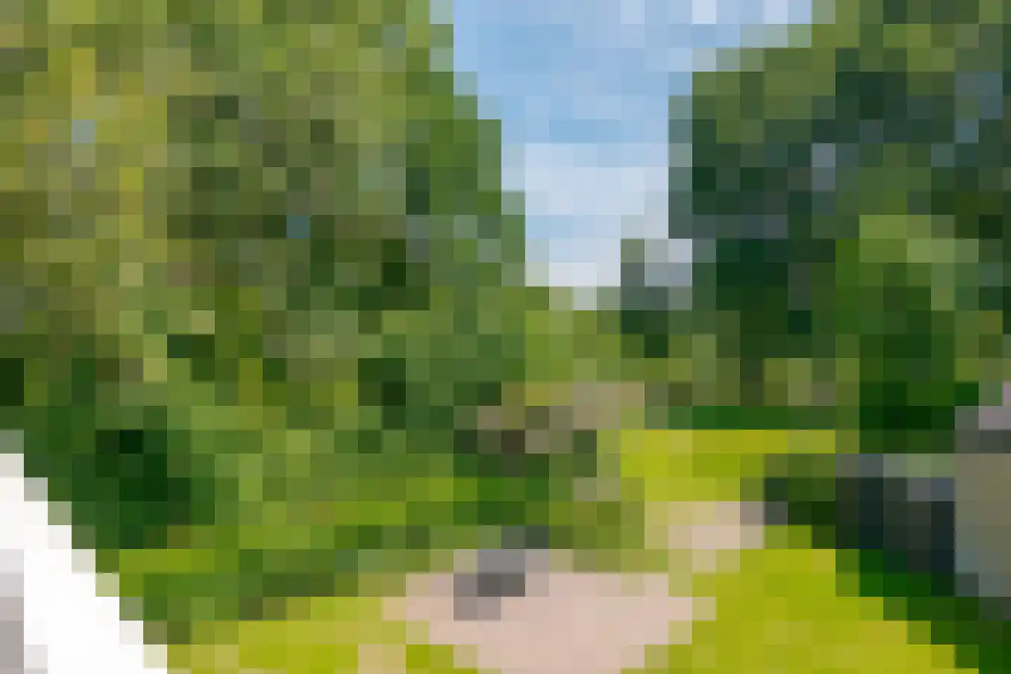 Boomkensdiep 38 Zwolle thumbnail 46