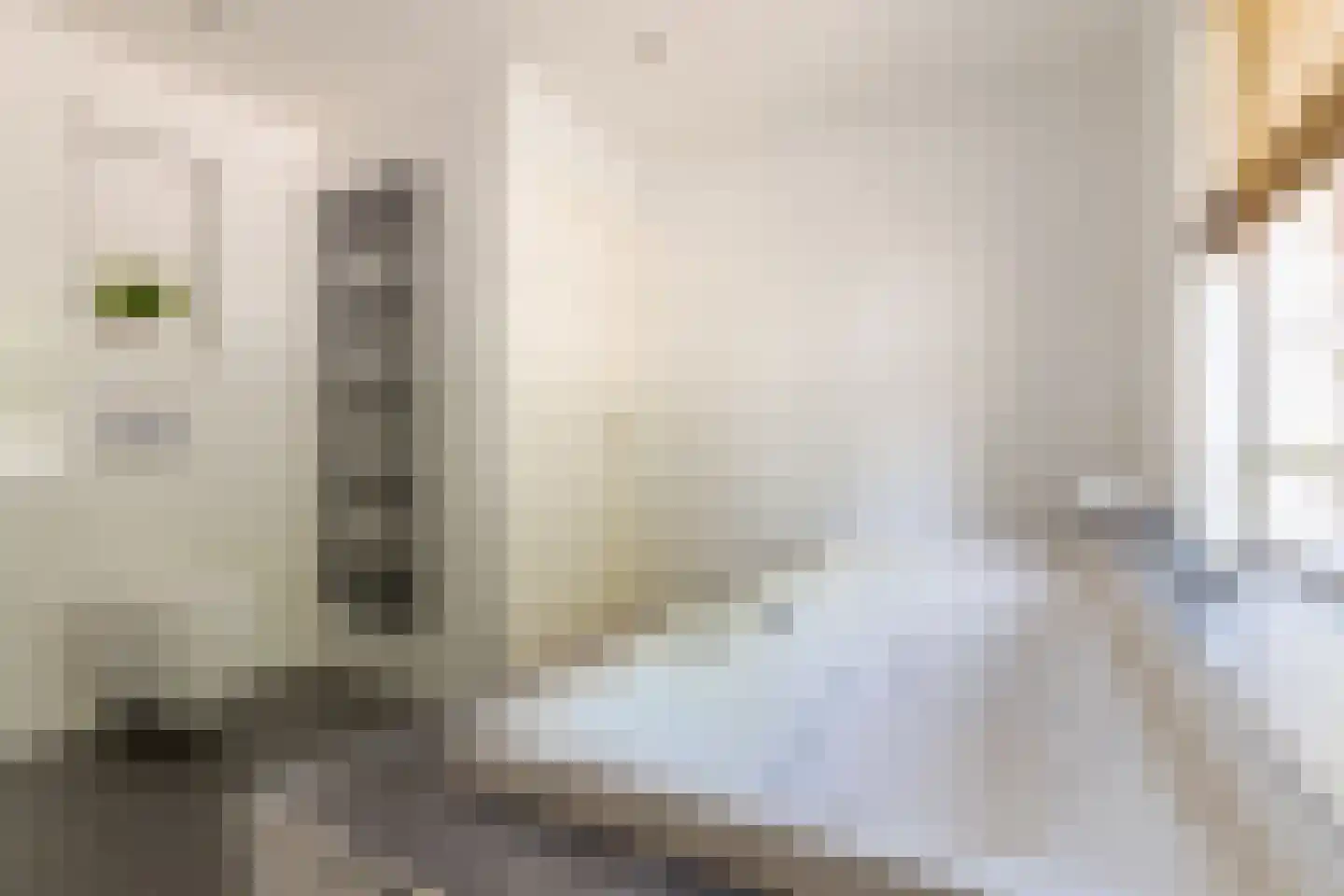 Boomkensdiep 38 Zwolle thumbnail 55