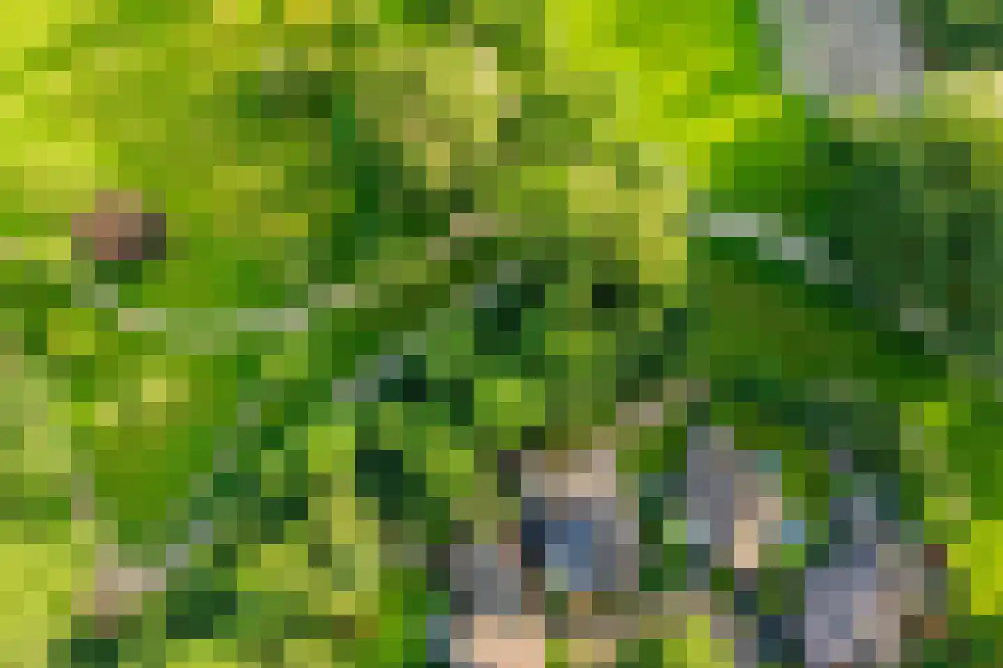 Boomkensdiep 38 Zwolle thumbnail 6