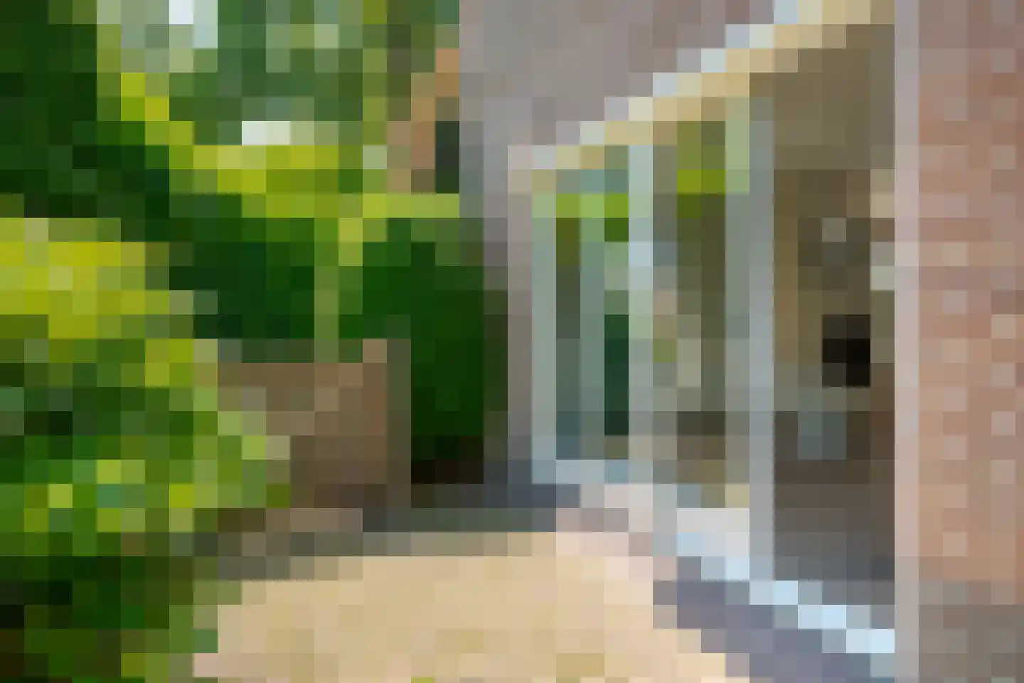 Boomkensdiep 38 Zwolle thumbnail 66