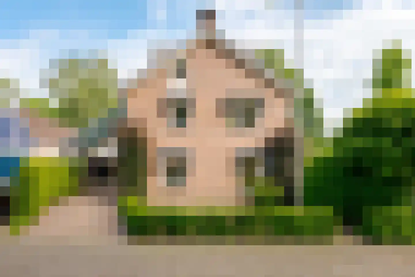 Boomkensdiep 38 Zwolle thumbnail 68